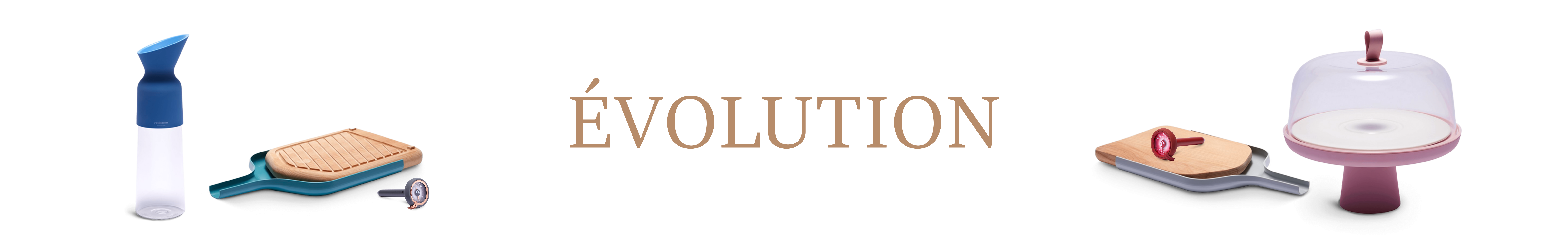 ÉVOLUTION - Mauviel1830