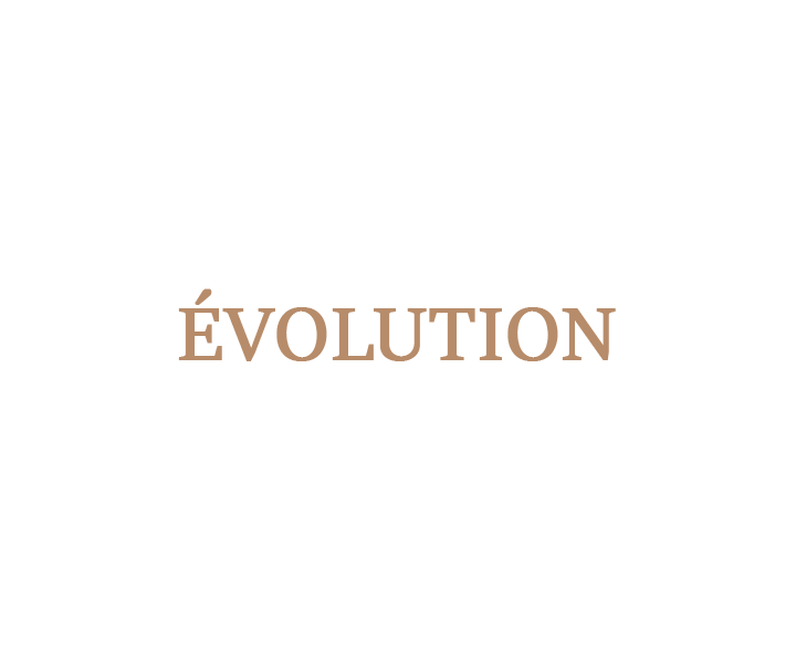 ÉVOLUTION - Mauviel1830