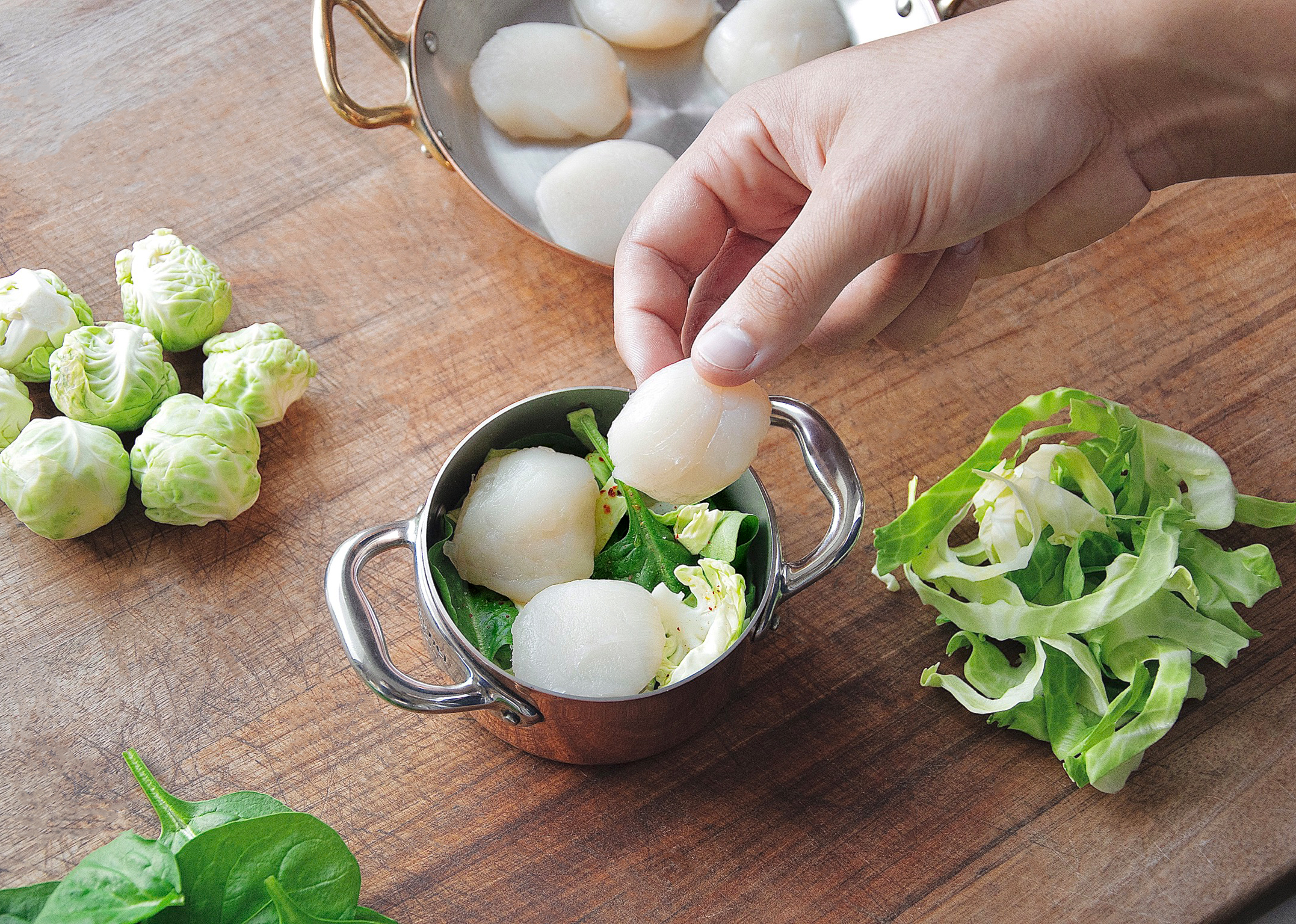 DRESSER LES COQUILLES
